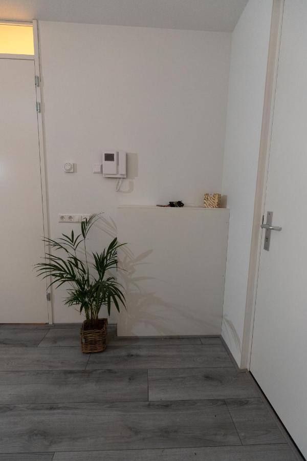 Greenstay Amsterdam Eksteriør bilde